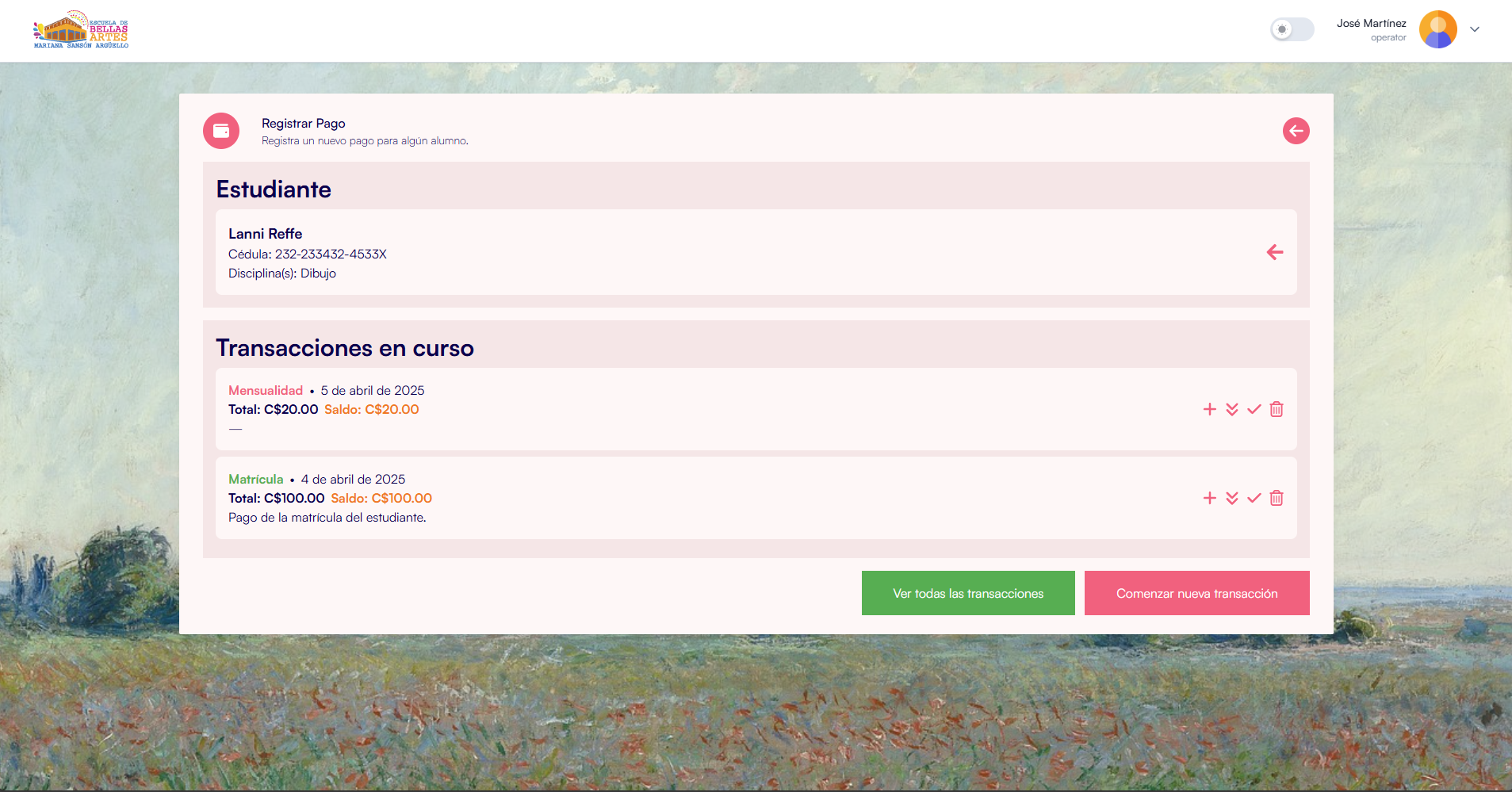 Sistema de Gestión de Matrículas screenshot 3