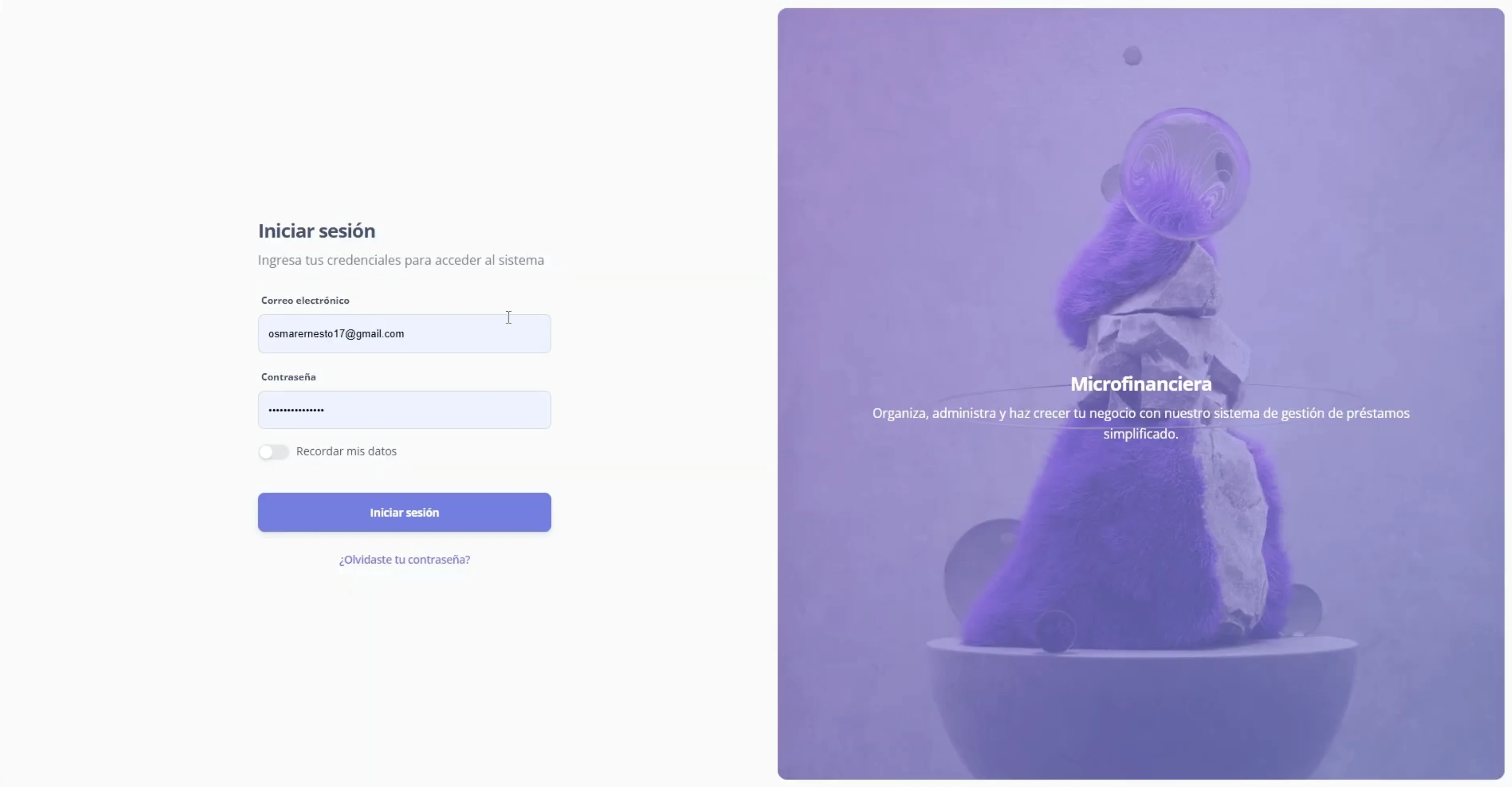 Loan Management System Dashboard